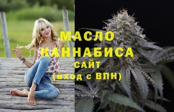 мдпв Богородск